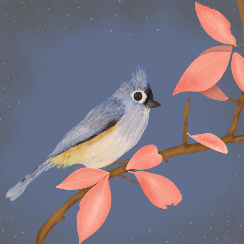 Image of an illustrated titmouse bird sitting on a branch with peach-colored leaves.